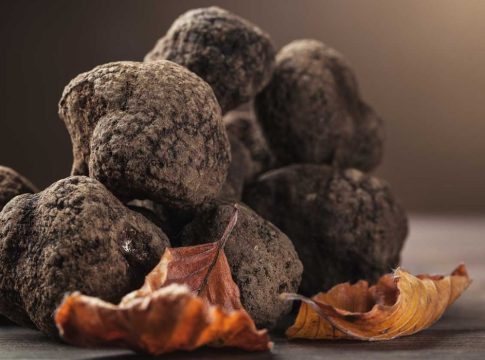 Trufa negra