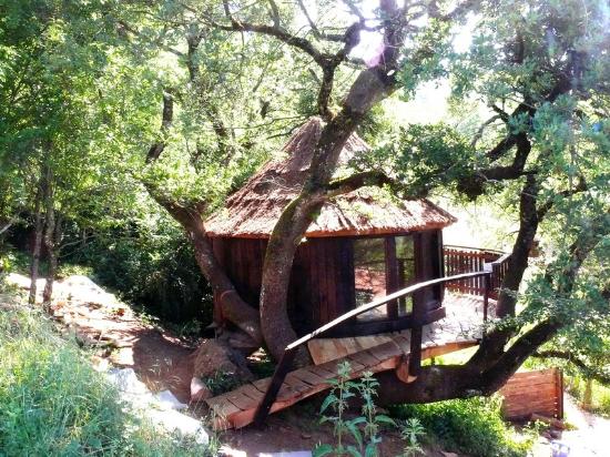 Oportunidad para explorar la rica historia de la región