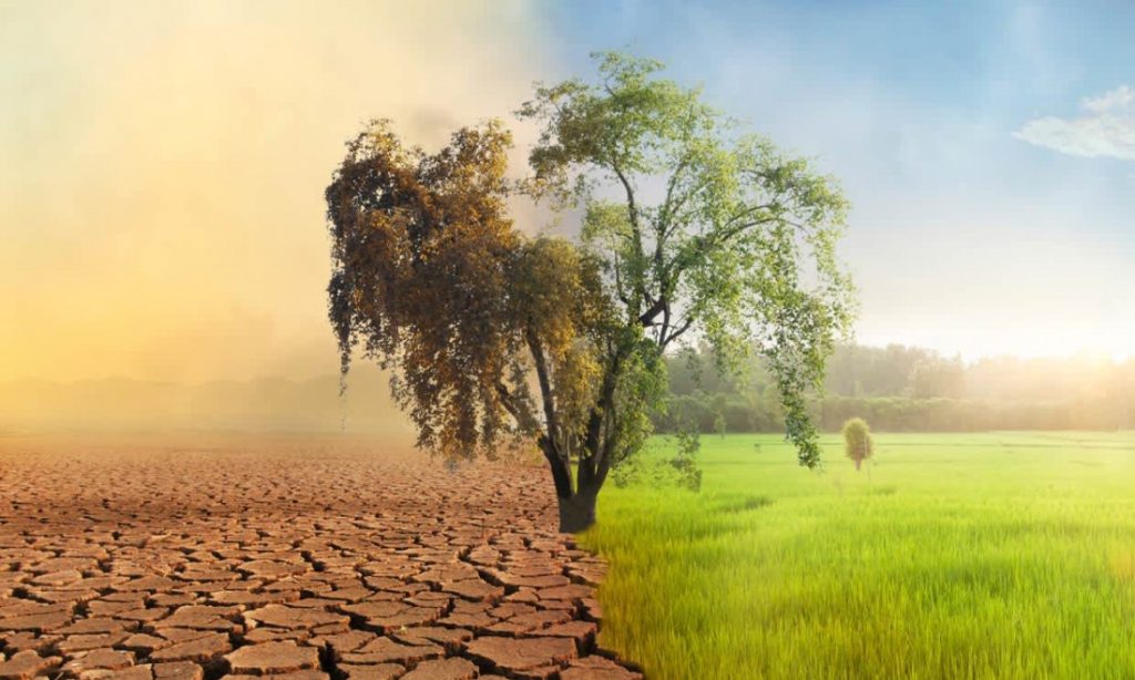 Múltiples muertes por calor en Madrid, Barcelona y Valencia: la predicción de los expertos para dentro de unos años 47 La clave está en la reducción de emisiones: una salida viable