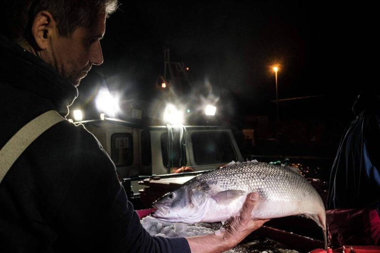 Se convoca el IV PREMIO SOSTENIBILIDAD AQUANARIA MADRID FUSIÓN 2024