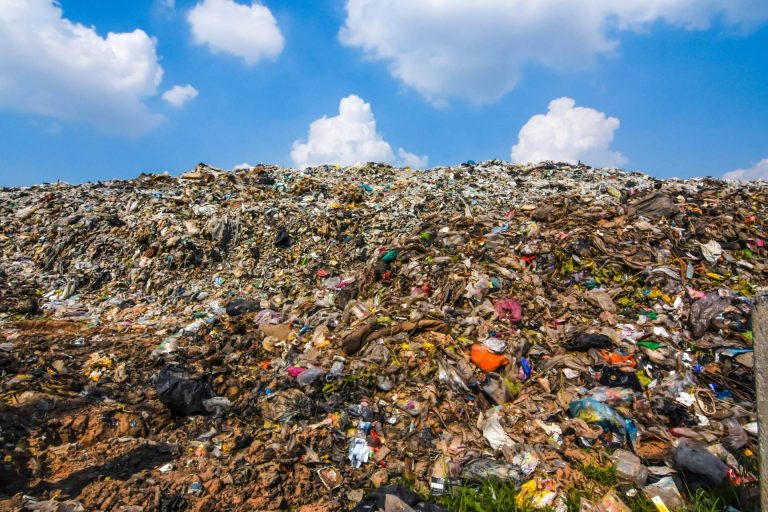 Gestión de residuos banales para la industria, de la mano de ECOVALL