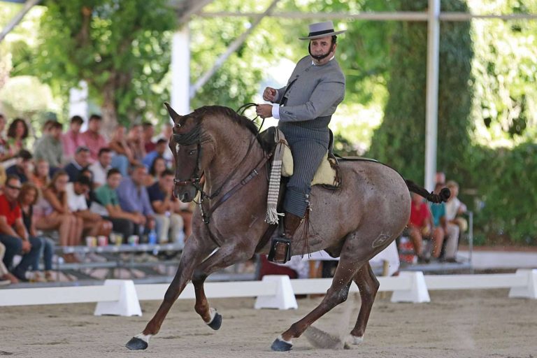 El traje de corto preferido por los campeones de Doma Vaquera