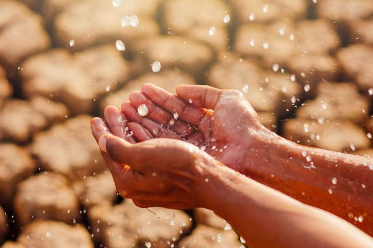 Enfrentar la escasez de agua con el 3P Rainbow, gracias a la unión de Pluvial y 3P Technik