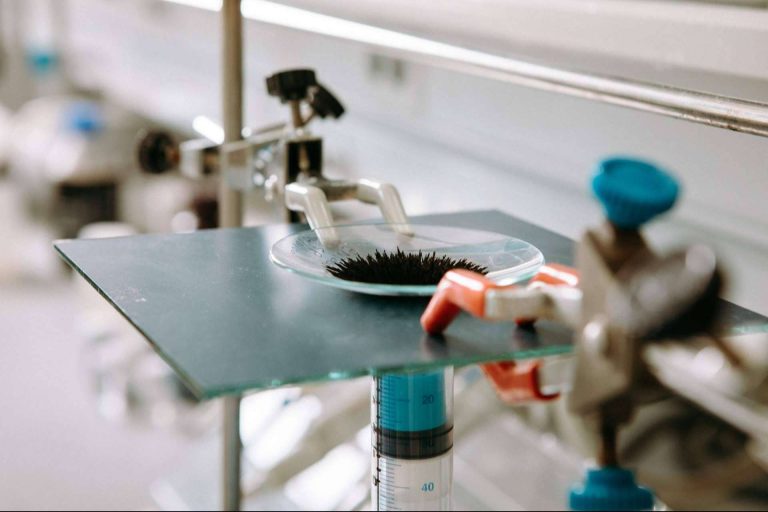 ¿Cuáles son las aplicaciones de las nanopartículas de hierro?, por Calpech