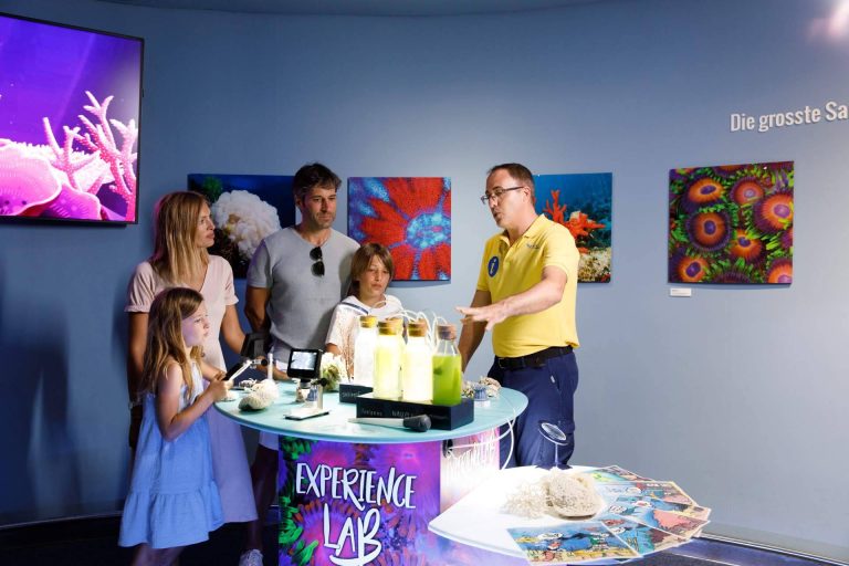 Organizar un día diferente en Mallorca, con la experiencia Palma Aquarium