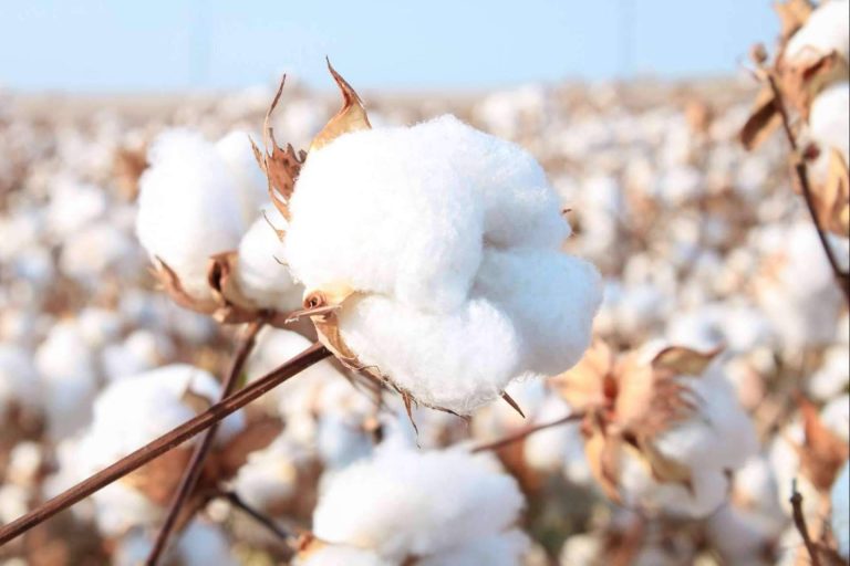 Lidia Crochet Tricot es una tienda en línea de algodón mercerizado