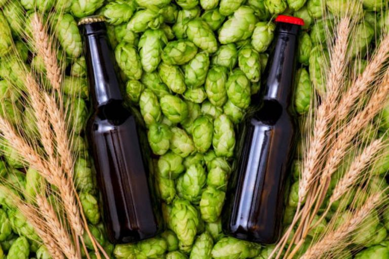 Así puedes hacer tu propia cerveza artesanal casera
