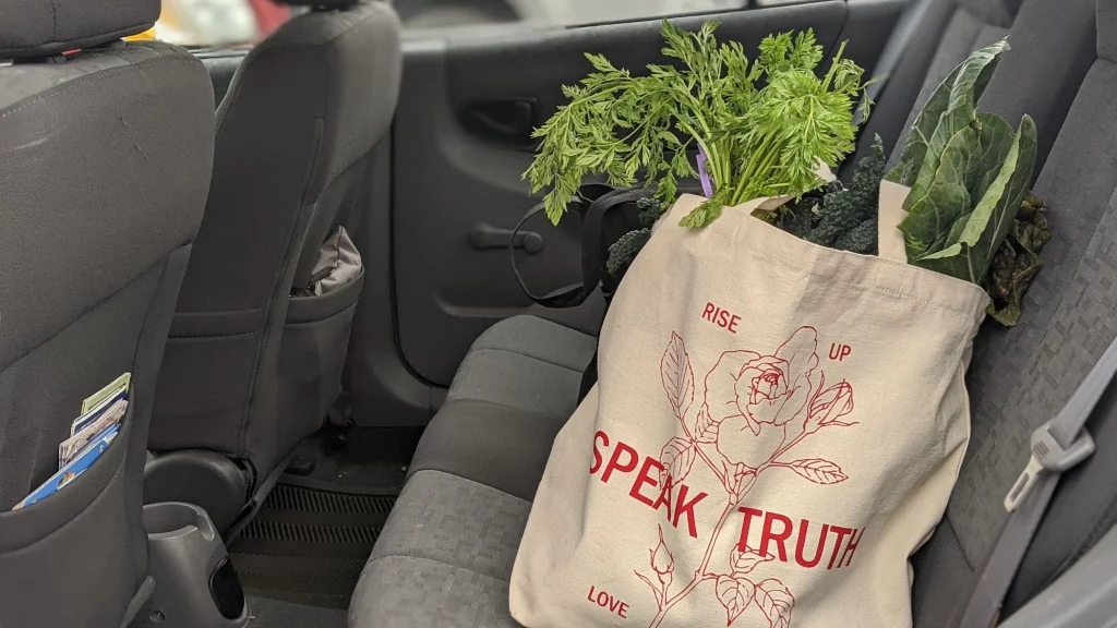 Así debes llevar la compra en el coche para evitar una multa de la DGT 34 La regla aplica a todo