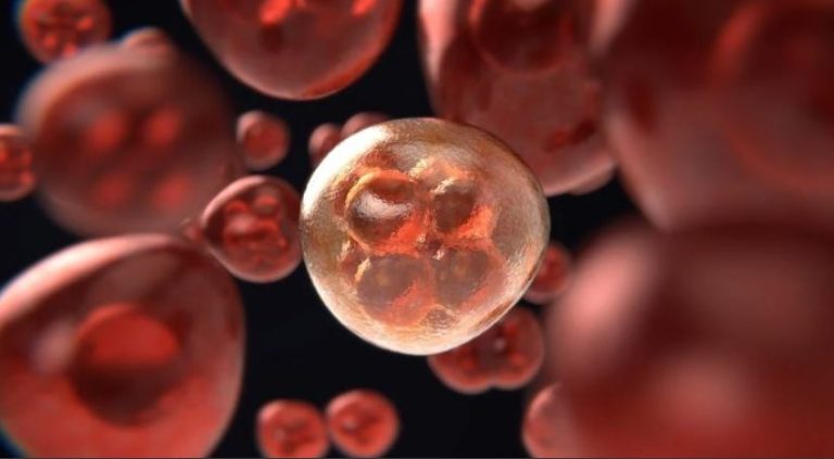 Las asociaciones de pacientes denuncian falta de voluntad política para facilitar el acceso a las terapias avanzadas en España