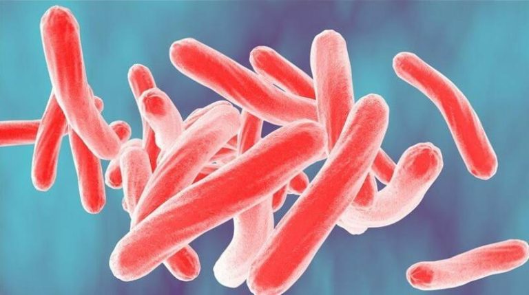 La OMS resalta que la tuberculosis se ha reducido un 52% en Europa, pero advierte de 