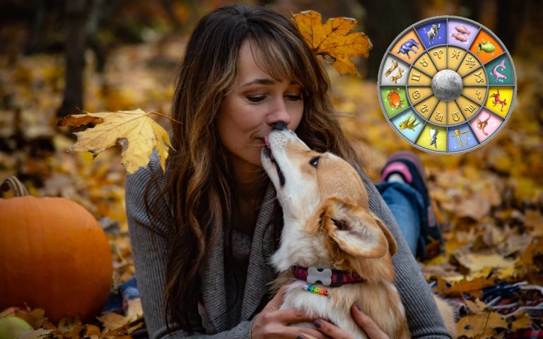 Estos son los signos del zodíaco que más aman a los animales