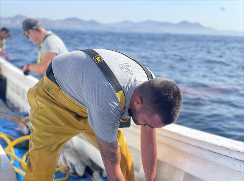 Una pequeña empresa familiar de Tarifa (Cádiz) logra el primer sello MSC de pesca sostenible de atún rojo en España Pescador de J.C Mackintosh eviscerando un atún rojo en el Estrecho de Gibraltar. La empresa ha obtenido el primer sello azul MSC que garantiza el origen sostenible del atún rojo en España.
