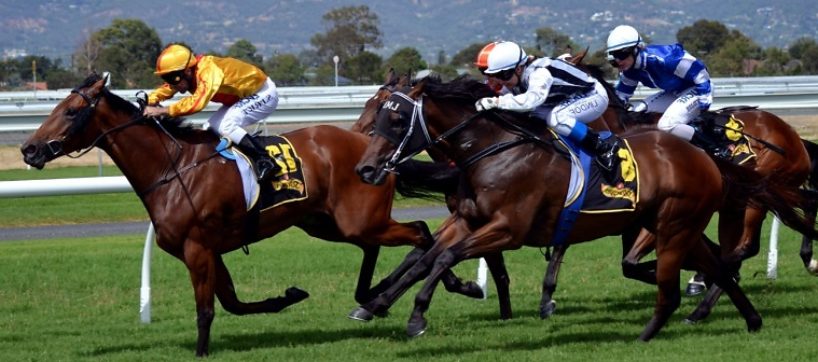 Si tienes alguno de estos hobbies ¡Eres rico!