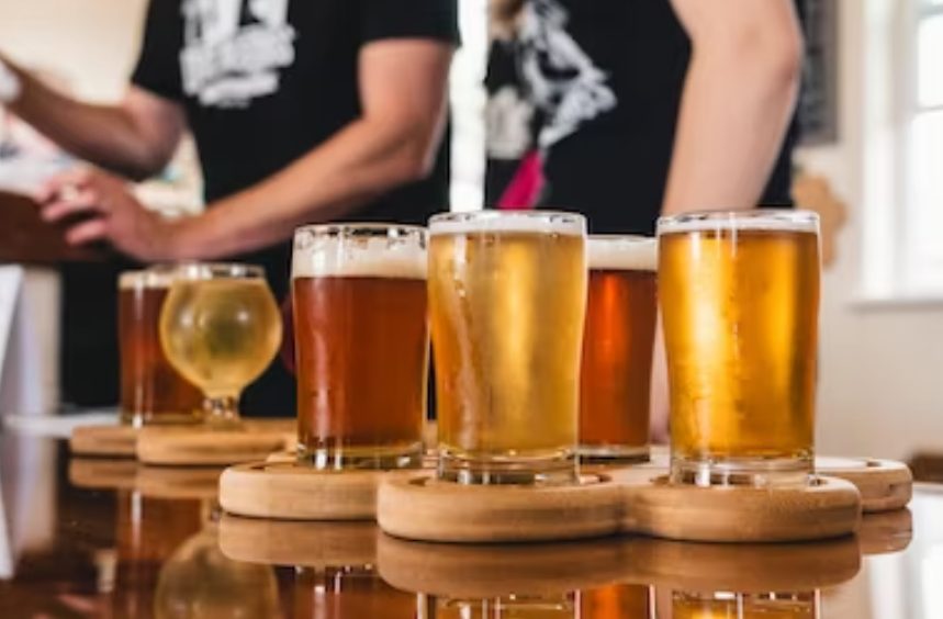 La Importancia del Etiquetado y la Composición