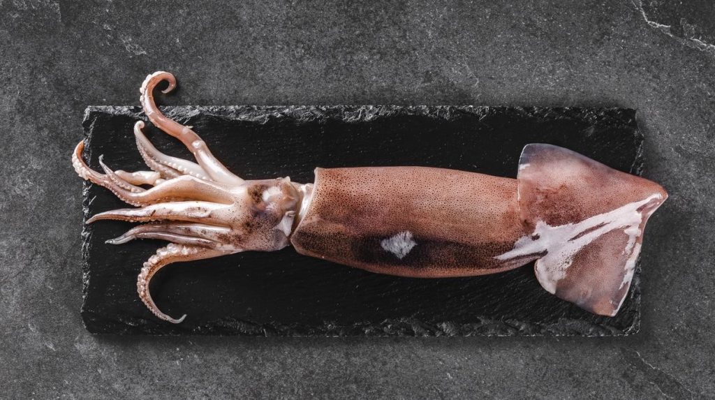 La receta de calamares en salsa de Arguiñano que puedes hacer en 5 minutos 61 La receta de calamares en salsa de Arguiñano que puedes hacer en 5 minutos