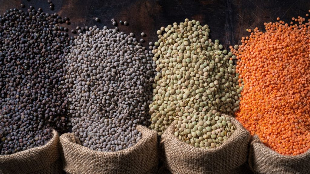 Lentejas: pequeñas, potentes y saciantes