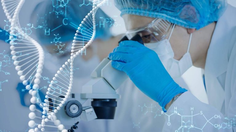 Las terapias con células madre y medicina regenerativa antienvejecimiento de Immunotherapy Regenerative Medicine