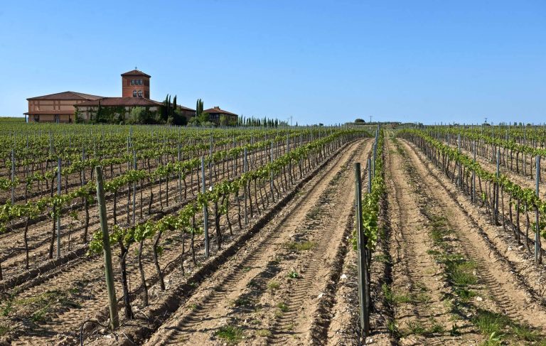 Hacienda Zorita, el vino de lujo de los Arribes del Duero, llega a Salamanca en exclusiva de la mano de Comercial de Vinos Acera