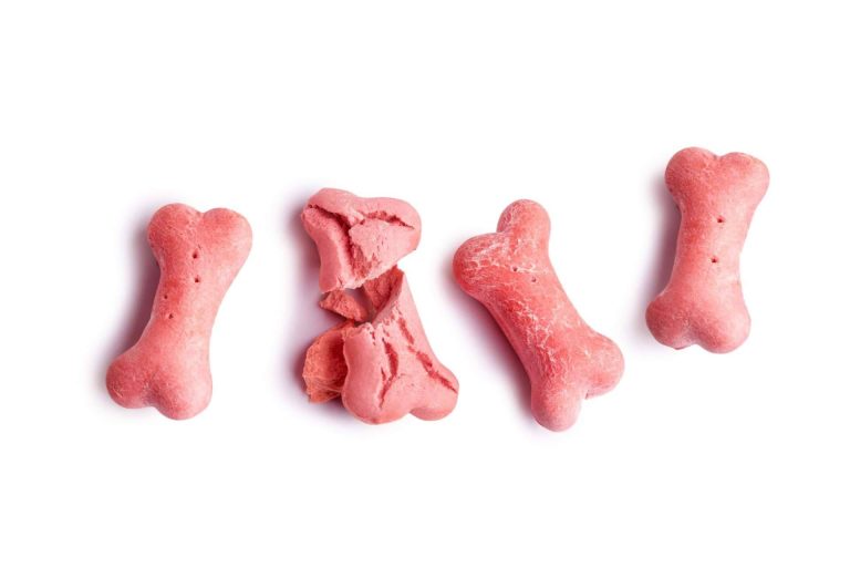 Snacks para perros y gatos, en el catálogo de Can Xana