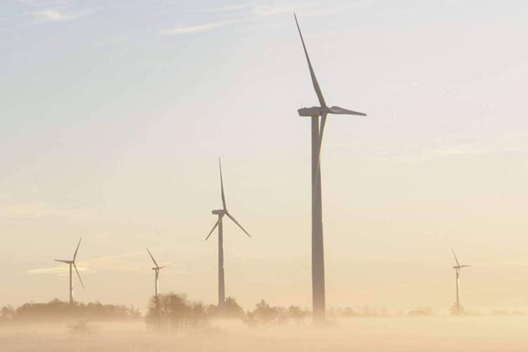 Dcycle, la plataforma dedicada a comunicar el impacto ambiental de las pymes