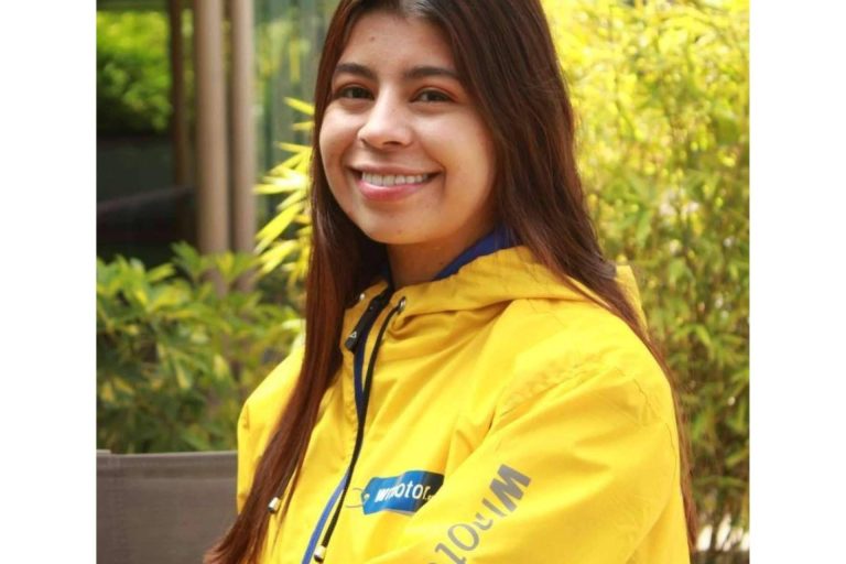 Wmotor, compra de llantas para carro online