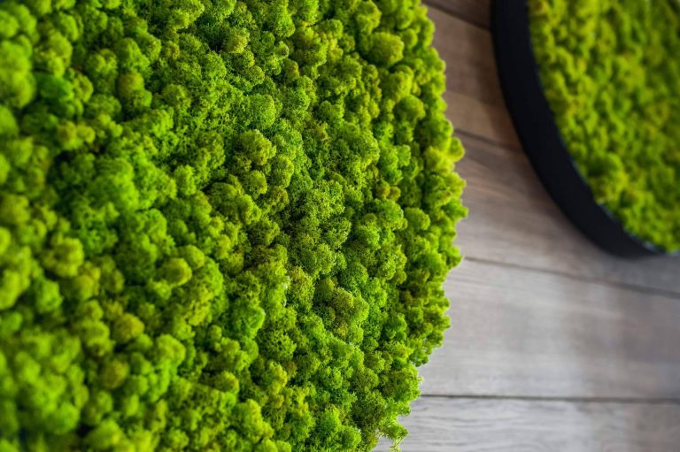 El musgo artificial es uno de los productos estrella en JardínVertical.es