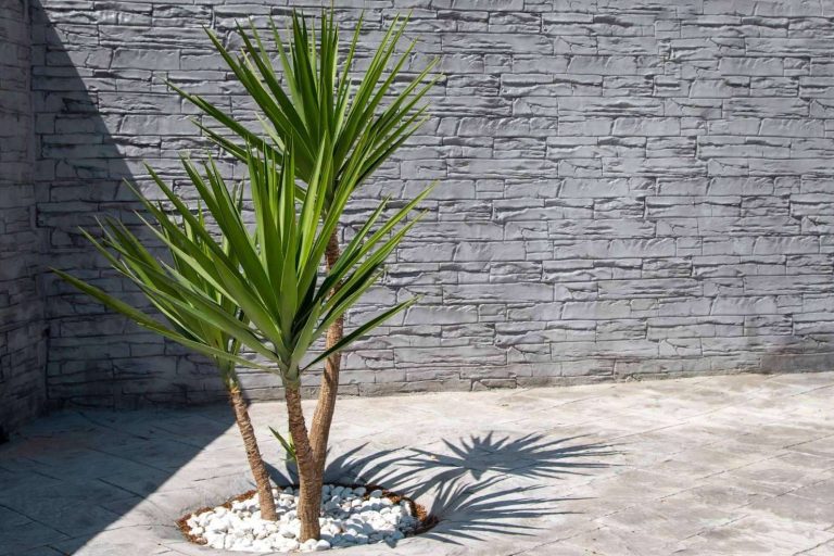 Enemar y su servicio de hormigón impreso en paredes en Madrid