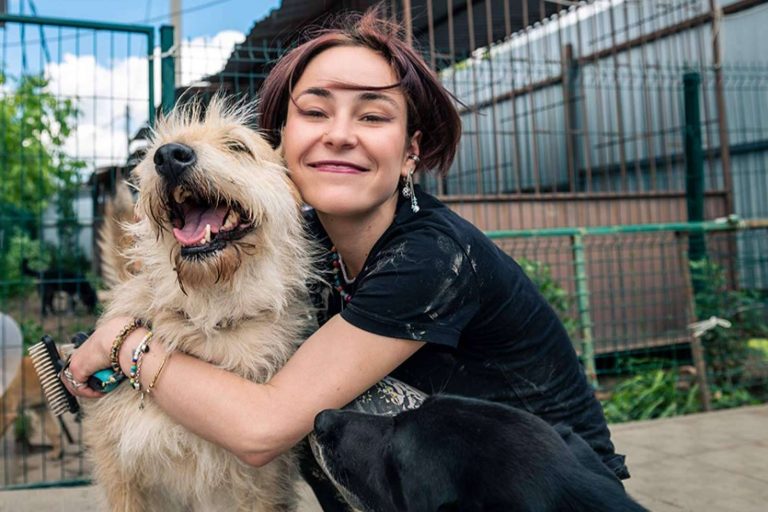 La Ley de Bienestar Animal incentiva la contratación de seguros para perros