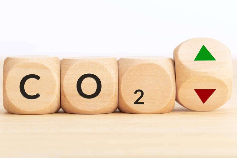 Los especialistas en el cálculo de la huella de carbono de Ecomundis alertan de la situación