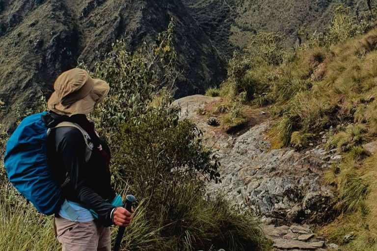 View Perú se dedica a hacer tours de lujo por la imponente estructura de Machu Picchu