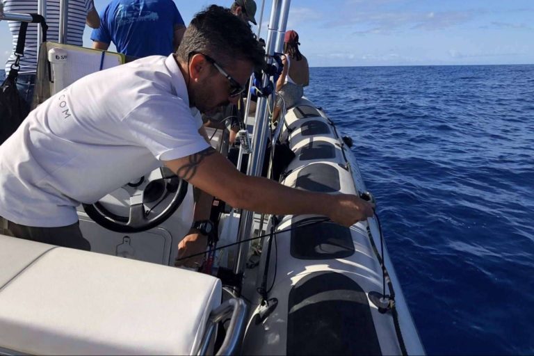 Biosean genera información clave para la investigación de la ballena piloto en Tenerife