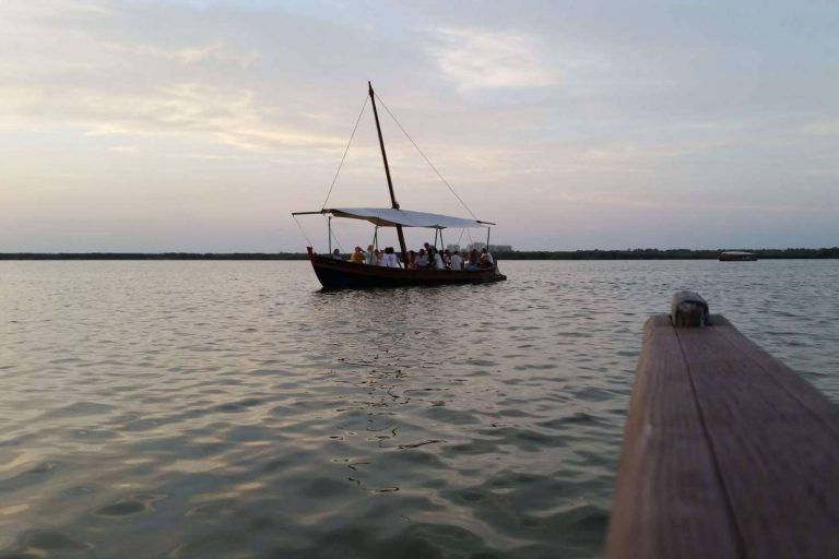 Este otoño se puede disfrutar de la llegada de aves invernales de la mano de Albumar