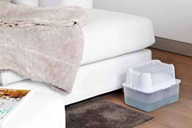 ¿Cómo se solucionan los problemas de humedad en casa con Humydry?