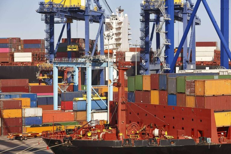 ¿Por qué es importante el control de plagas en el transporte marítimo?