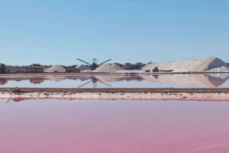 Descubriendo el ecoturismo sostenible en Torrevieja