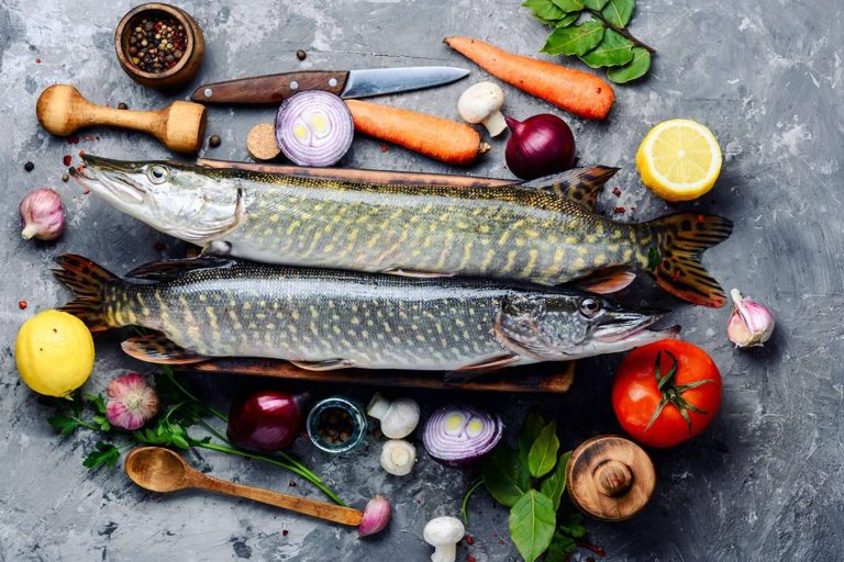 'GASTRONOMÍA de la A a la Z', la obra definitiva para cocineros, estudiantes y aficionados a la cocina