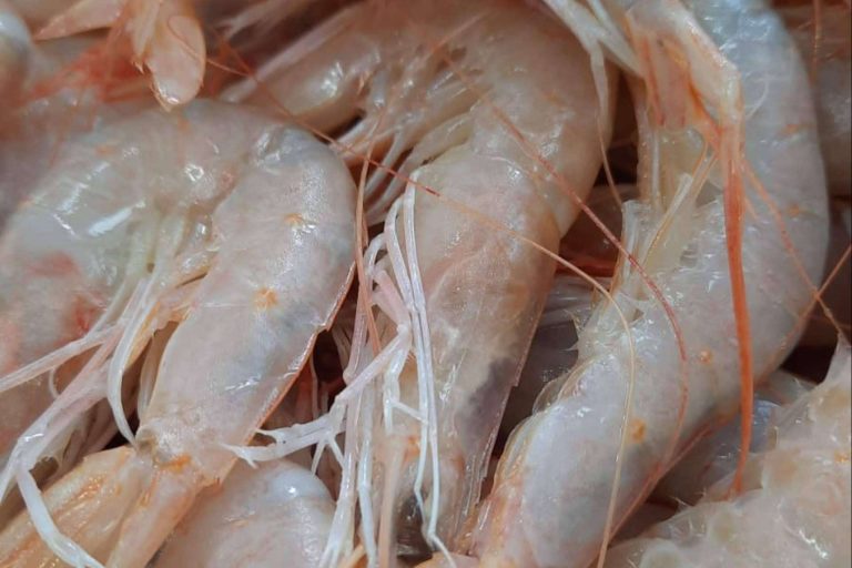 Las gambas de Huelva que permite adquirir la Pescadería Younes Ceuta