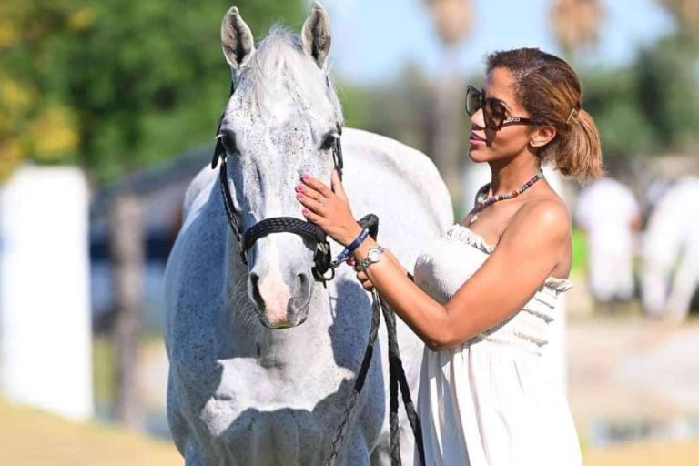 ¿Cuál es la labor comerial de Chacco Marketing?