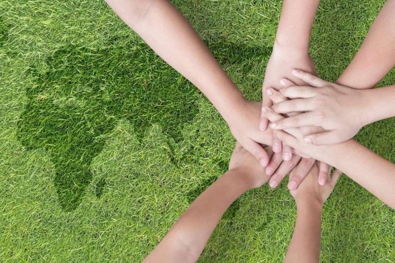 El software para gestión ambiental, Laragon