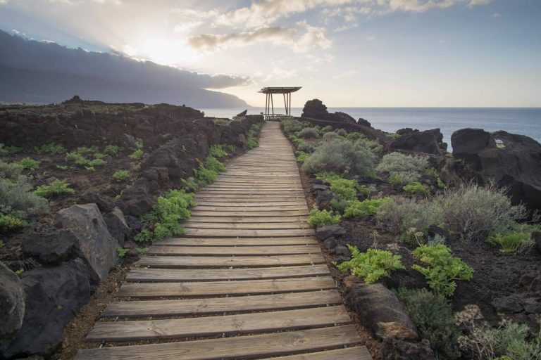 Todo acerca de las herencias, con Casas de Derecho