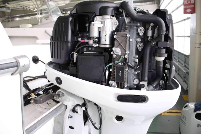 Barcelona y Santa Pola acogen jornadas de marcaje electrónico con la colaboración de Movilmotors y Suzuki Marine en el Scientific Angler Tagging Tour