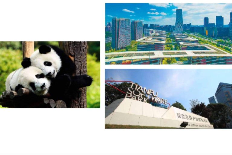 Vinchin, una de las referentes en soluciones de backup y recuperación de datos, llega a España de la mano de Towers IT