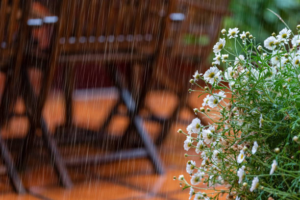 Permanecer informados