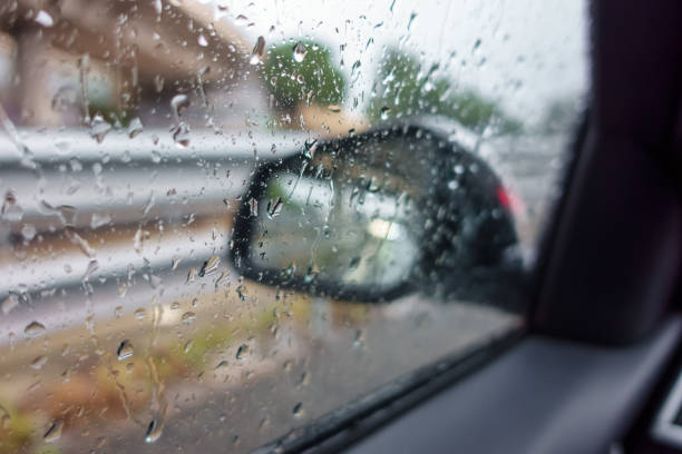 Precauciones y recomendaciones