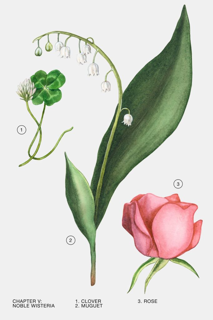 Unos toques adicionales para mejorar su calidad