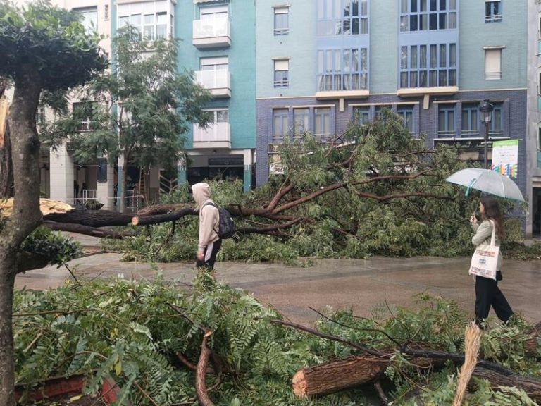Diputación de Huelva creará una oficina para ayudar a los municipios afectados por la borrasca Bernard