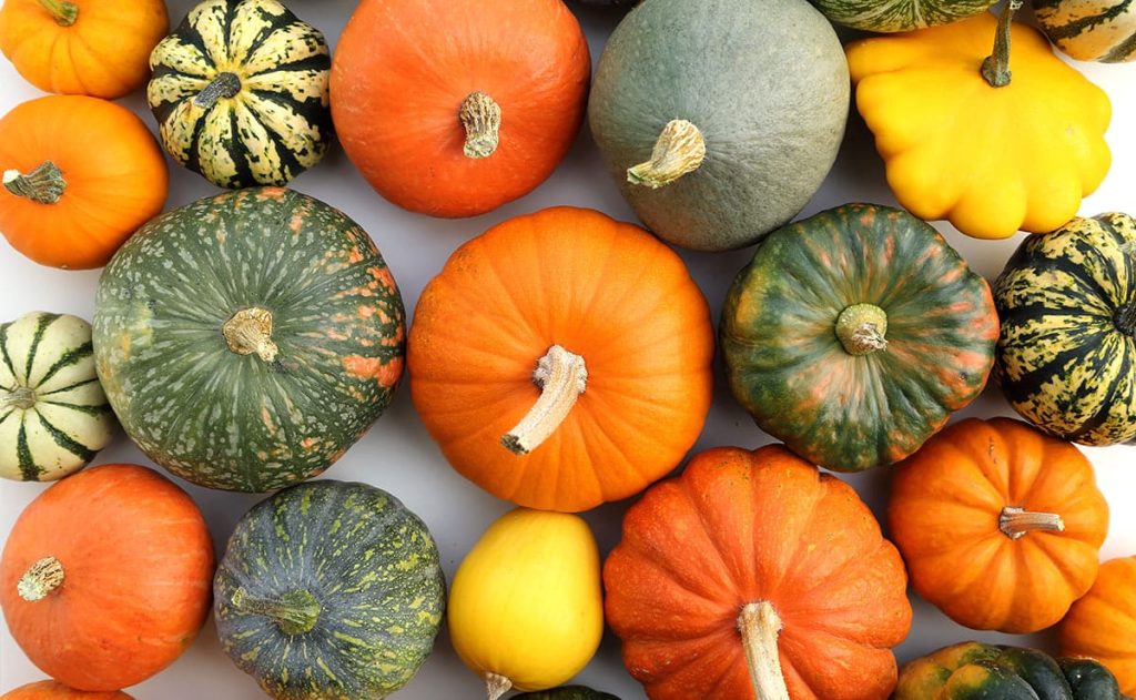 Descubre estas recetas con calabaza para una dieta saludable y variada