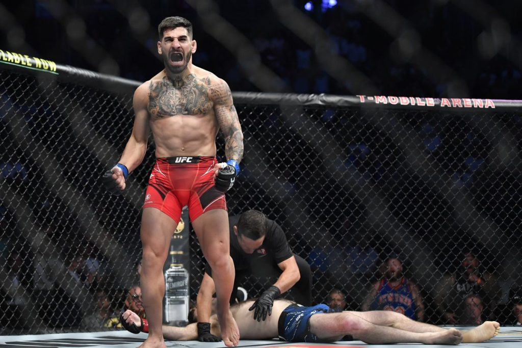¿Dónde seguir los eventos de UFC en España?