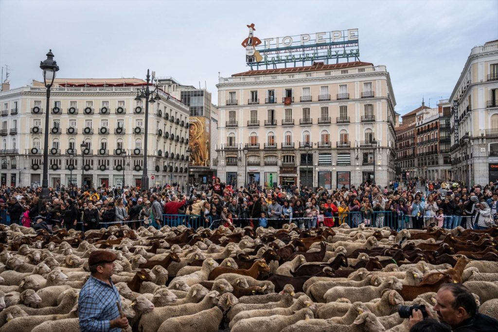 La Fiesta de la Trashumancia  pasó también por la Puerta de Sol