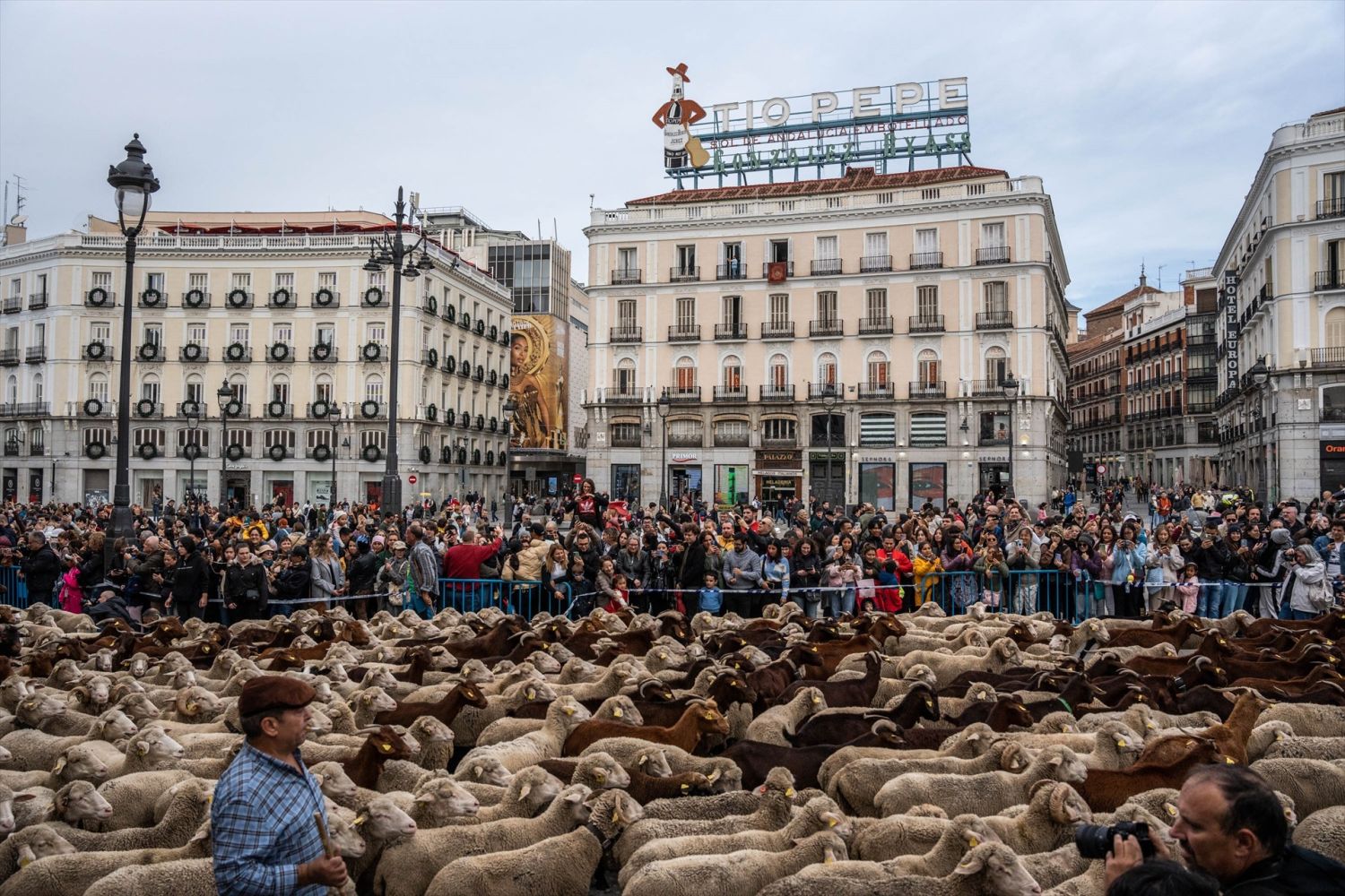 La Fiesta de la Trashumancia pasó también por la Puerta de Sol